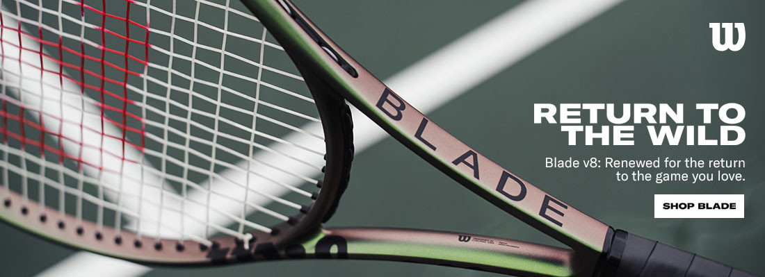 Blade V8 Banner